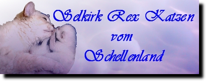 Selkirk Rex Katzenzucht vom-Schellenland